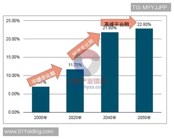 武汉网球队实力对比深度剖析及未来发展趋势探讨实时数据